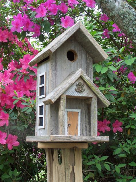 famous ideas  bird house designs