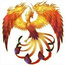 image result  phoenix drawing phoenix bird art phoenix images