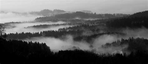 wald im nebel foto bild landschaft wald technik bilder auf
