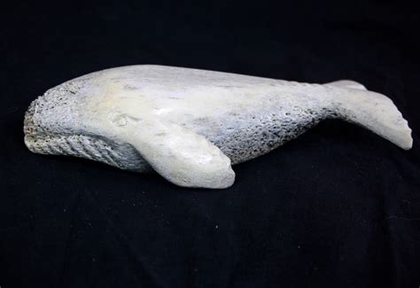 whale bone sculpture
