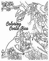 Coloring Rica Costa Flip Amazon Front Back Book sketch template