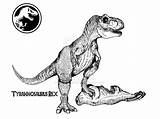 Coloring Jurassic Rex Pages Park Drawing Template Paintingvalley sketch template
