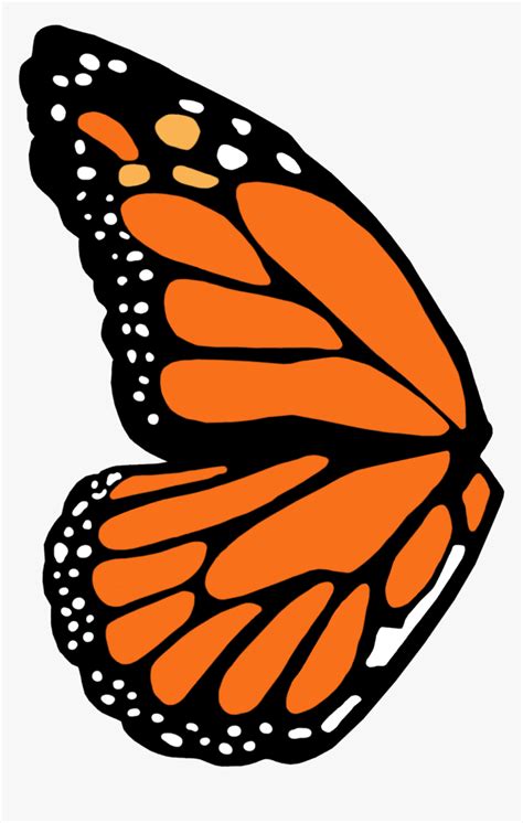 monarch butterfly wing template  transparent clipart clipartkey