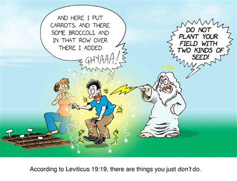 Some Things You Just Don’t Do According To Leviticus James Mcgrath