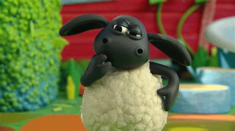 timmy time character by aardman animations find