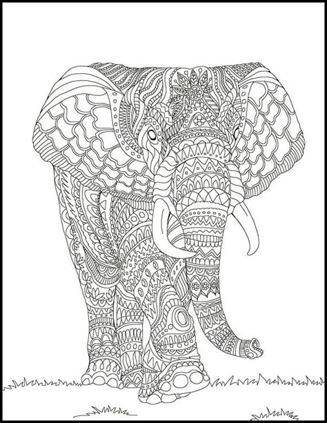 indian elephant drawing  getdrawings