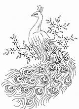 Peacock Embroidery sketch template