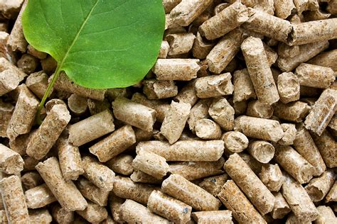 wood pellet biomass wood fuel suppliers uk amp clean energy