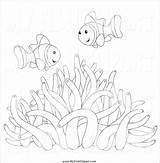 Anemone Snail sketch template