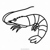 Udang Lobster Caridea Webstockreview Kaligrafi Siluet sketch template