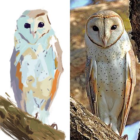 owl  digitally painted  reference critique