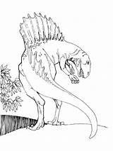 Spinosaurus Dinosaur Theropod Supercoloring sketch template