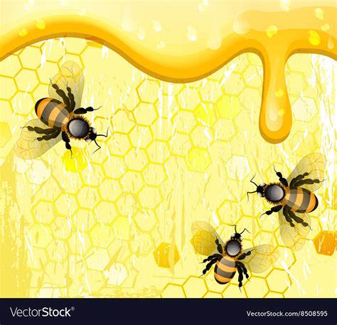 Bees On Honeycomb Cartoon Royalty Free Vector Image