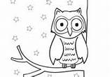 Kigaportal Owl Coloring Kindergarten Preschool Halloween sketch template