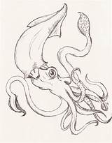 Squid Giant Octopus Kraken sketch template