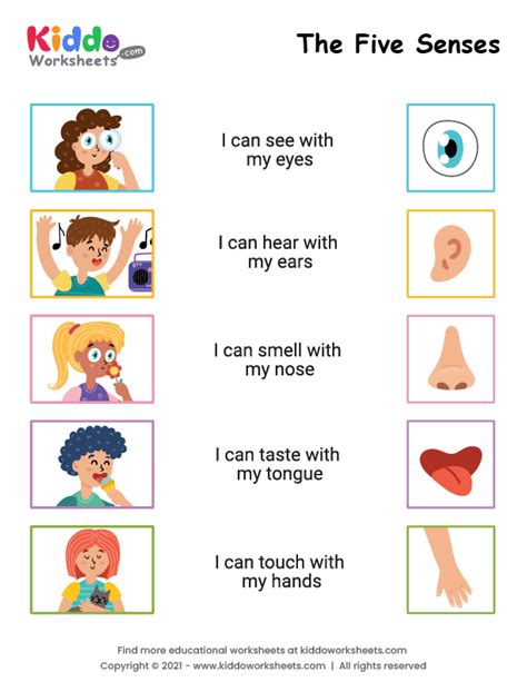 printable  senses worksheet kiddoworksheets vrogueco