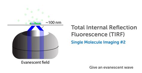 total internal reflection fluorescence tirf microscopy