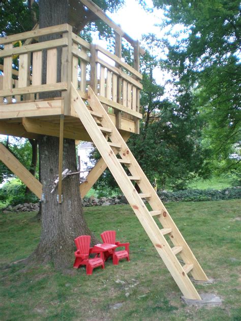 tree fort ladder gate roof finale tree house diy simple tree house tree house plans
