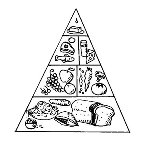 food pyramid  kids  color clip art library