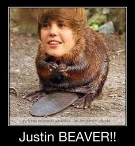 17 best images about justin bieber funny on pinterest funny a girl and haha