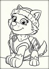 Patrol Paw Coloring Pages Thanksgiving Everest Getcolorings Printable sketch template