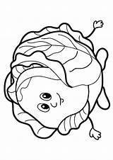 Repollo Repolho Cabbage Colorear Dibujosonline Categorias Colorironline Momjunction sketch template