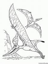 Dinossauros Colorir Pteranodon Pterodáctilo sketch template