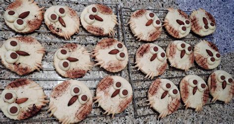 winter owl sugar cookies raspberry thriller