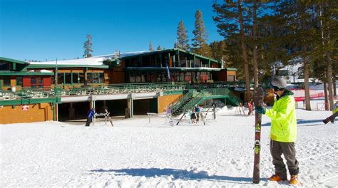 alpine meadows ski resort tours book  expedia