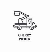 Picker Cherry Coloring Template sketch template