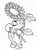 Coloring Pages Disney Spring Pooh Winnie Printable Sheets Print Kids Fall Rose Sunflower Colouring Color Adult Rocks Easter Visit Getcolorings sketch template