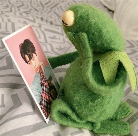 pin  kermit