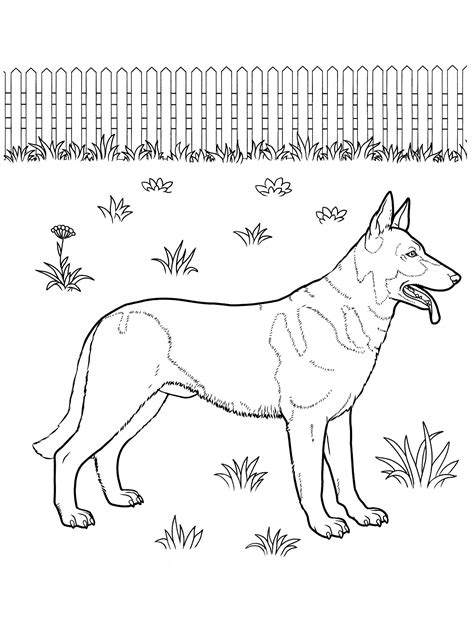 pin na doske favorite dog colouring pages
