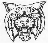Wildcat Clipart Logo Face Wildcats Kentucky Coloring Cliparts Head Pages Clip Wild School Template Clipground Library Logan Rogersville High Cat sketch template