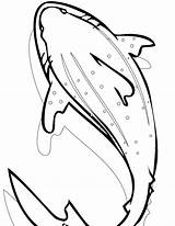Shark Coloring Pages Kids Whale Color Printable Leopard Realistic Drawing Adults Print Getdrawings Modest Clipartmag Getcolorings Prehistoric Bestcoloringpagesforkids Drawings sketch template