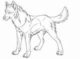 Coloring Pages Realistic Wolves Getcolorings sketch template