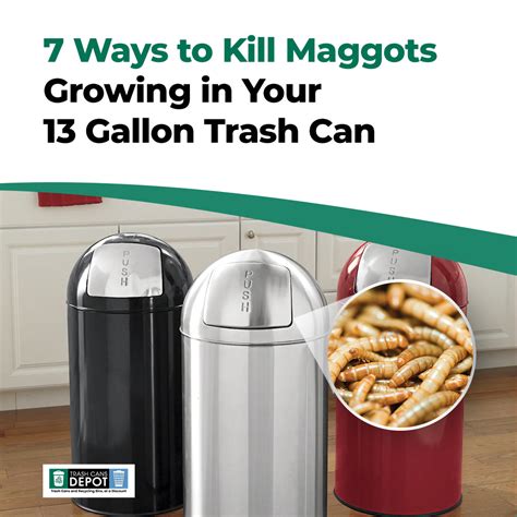 ways  kill maggots growing    gallon trash