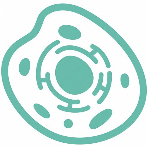 biology cytoplasm human cell nucleus icon   iconfinder