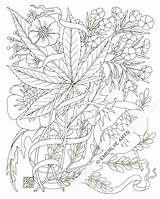 Coloring Pages Weed Adult Marijuana Stoner Stencil Leaf Printable Plant Drawing Hemp Print Books Color Pot Trippy Tattoo Jane Mary sketch template