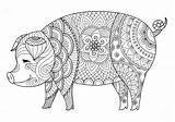Coloring Animal Pages sketch template