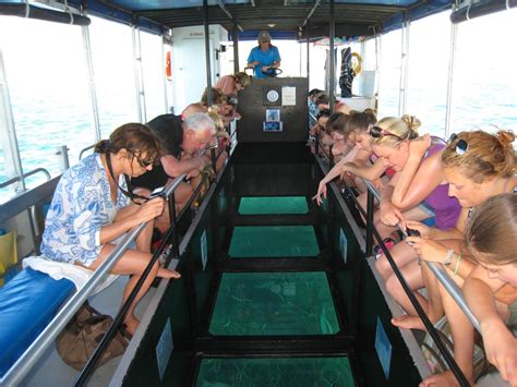 1 Hr Glass Bottom Boat Tour Coral Bay Ecotours Reservations