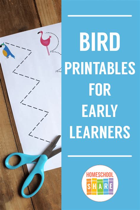 bird printables  preschool  kindergarten homeschool share