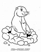 Gopher Coloring Pages Book Animals Printables Kids sketch template