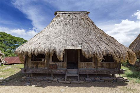 kampung adat wologai ende membangun rumah didahului ritual pukul malam