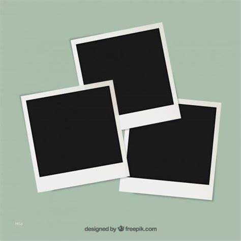 indesign collage vorlage elegant polaroid photography frames vector