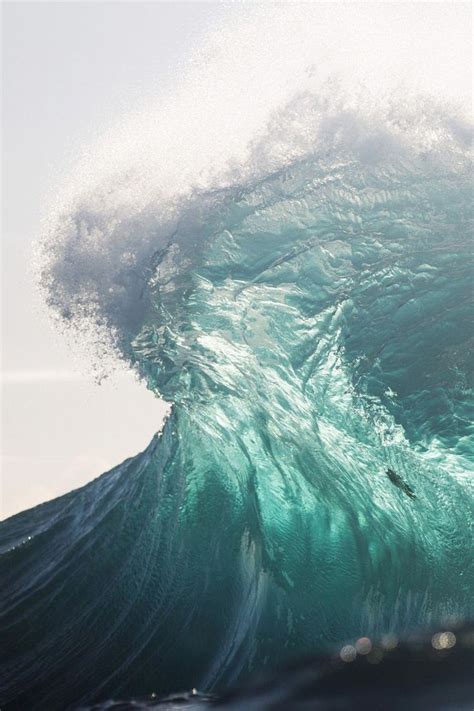 surfhair waves nature ocean waves