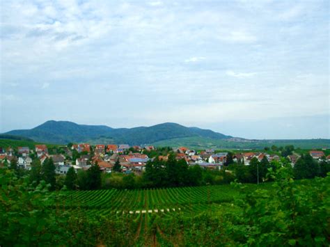 die pfalz