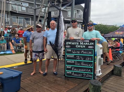 qualifying white marlin    annual white marlin open ocean city md fishing