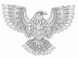 Mandala Eagle sketch template