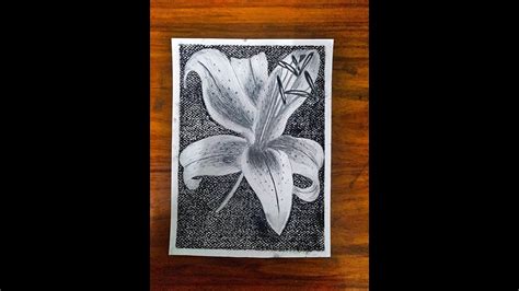 drawing flower  charcoal background speed drawing pencilamour